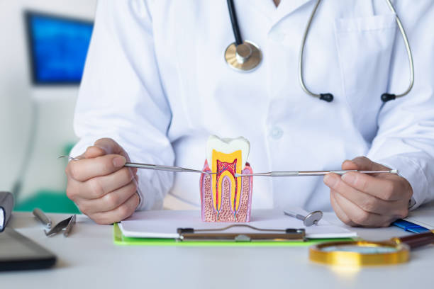 Best Emergency Dentist for Knocked-Out Tooth in Hopewell, NJ